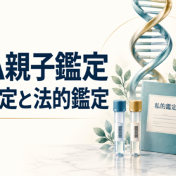 DNA親子鑑定の「私的鑑定」と「法的鑑定」の違い｜使える場面と注意点を岐阜の探偵が解説